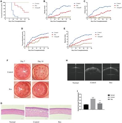 Resveratrol regulates macrophage recruitment and M1 macrophage polarization and prevents corneal allograft rejection in rats